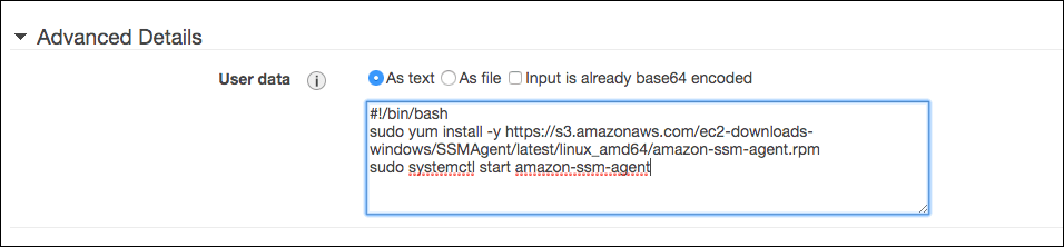 Figure 2: Select User data as text and activate the AWS Systems Manager Agent 